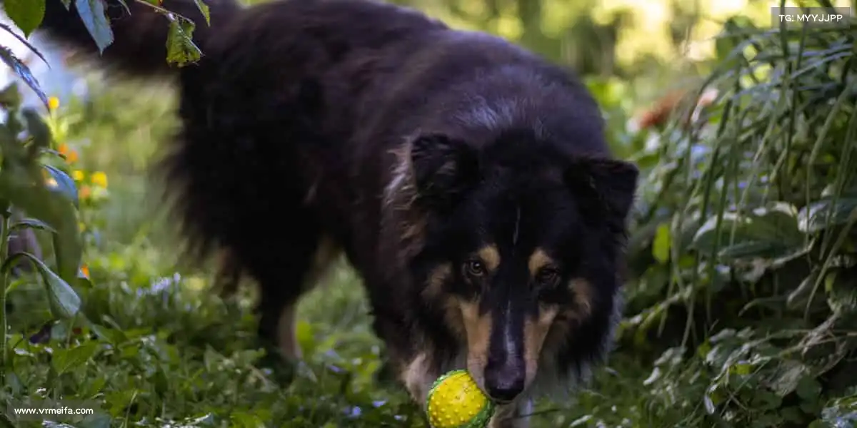 我们的品牌价值